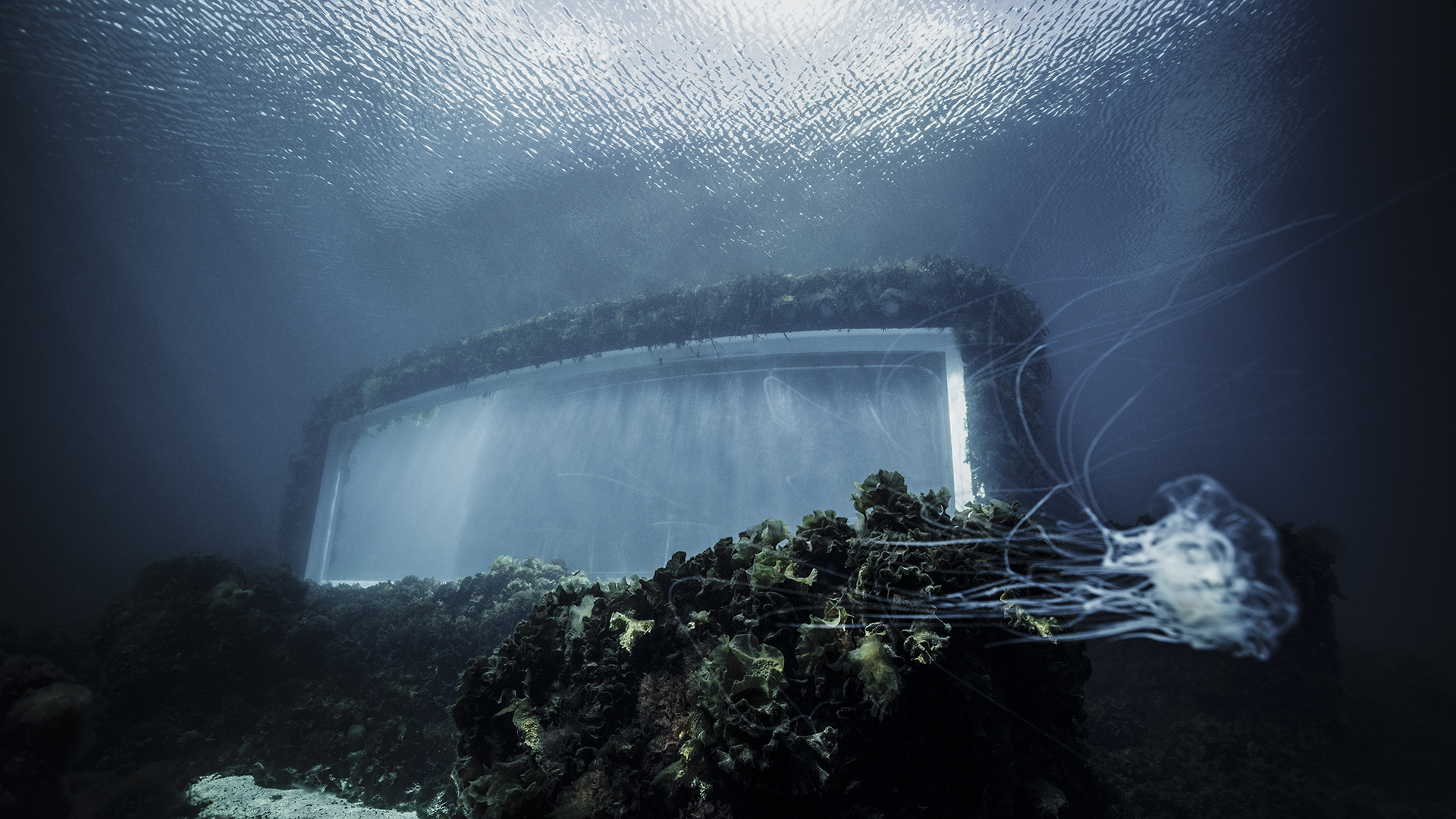 Under under wather.jpg